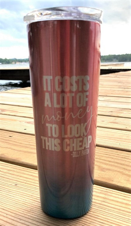 20oz Ombre Color Fade Skinny Tumbler with Straw